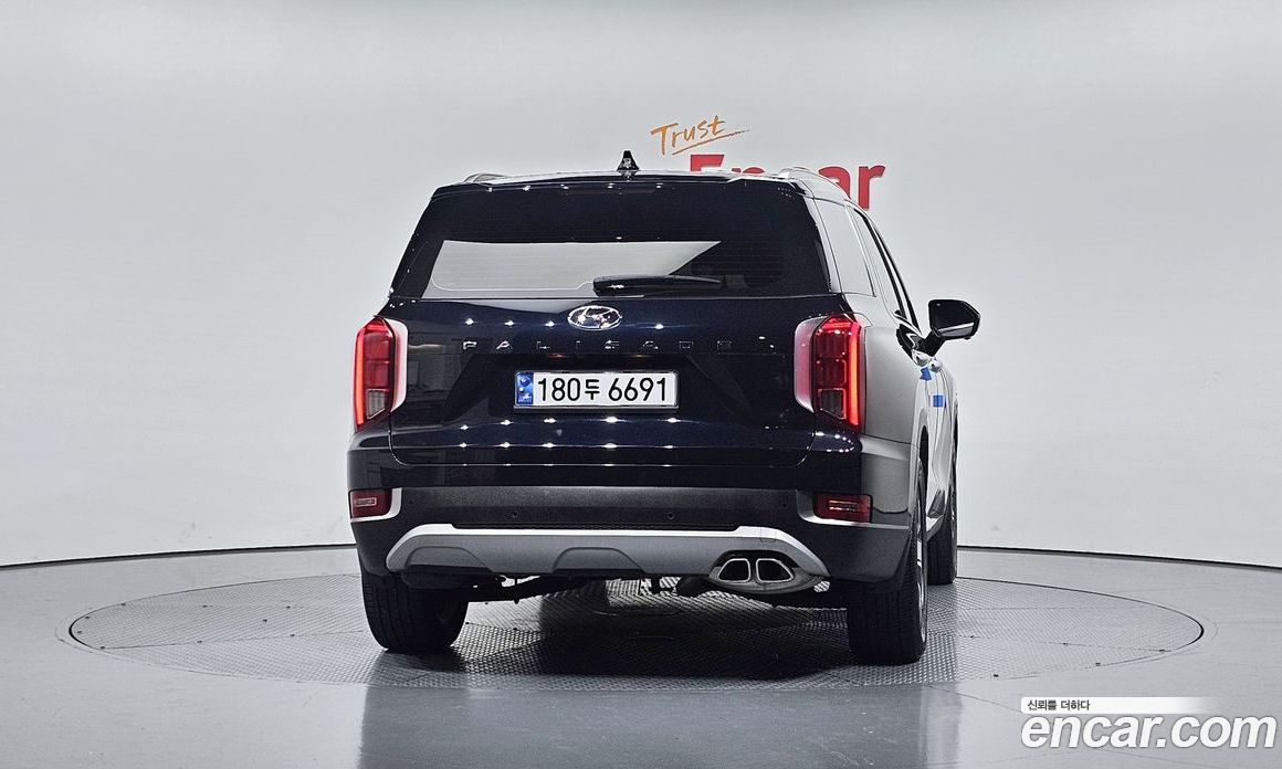Hyundai Palisade 1st Gen фото 4