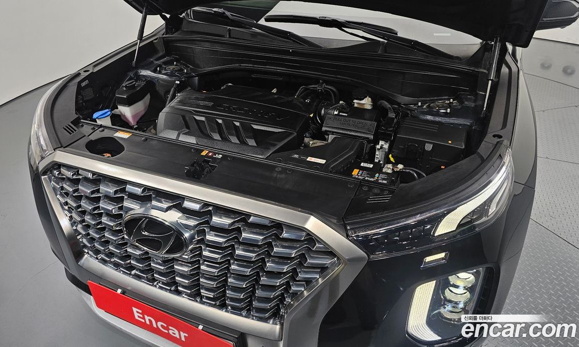 Hyundai Palisade 1st Gen фото 6