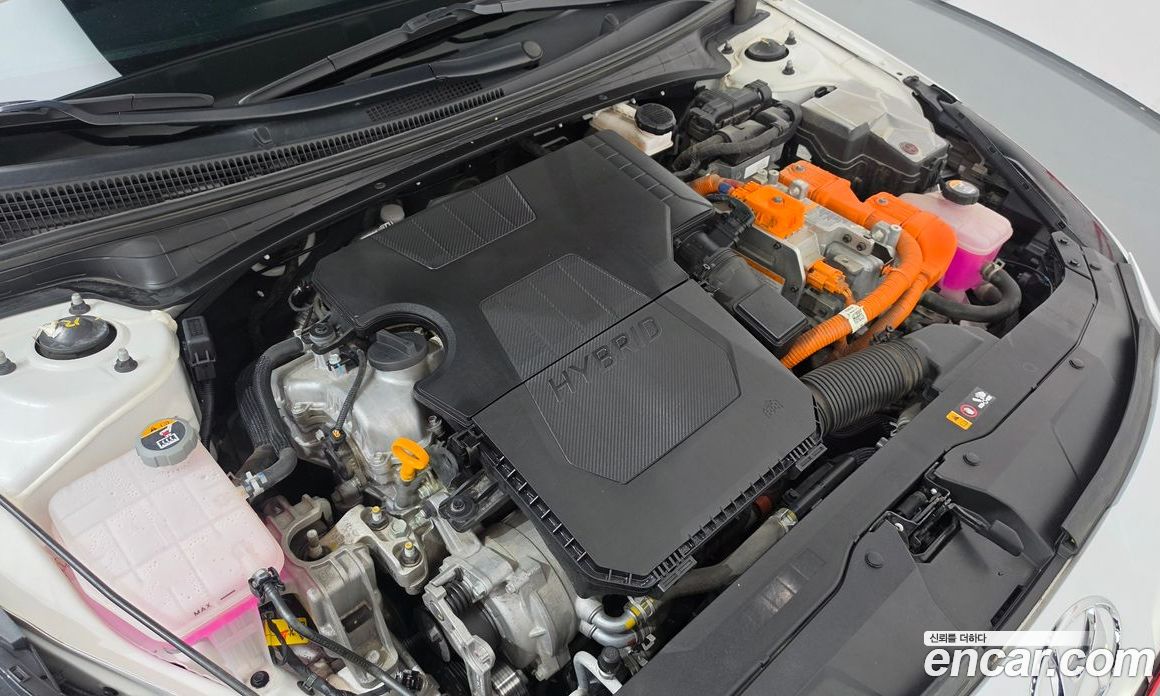 Hyundai Avante Hybrid (CN7) фото 6
