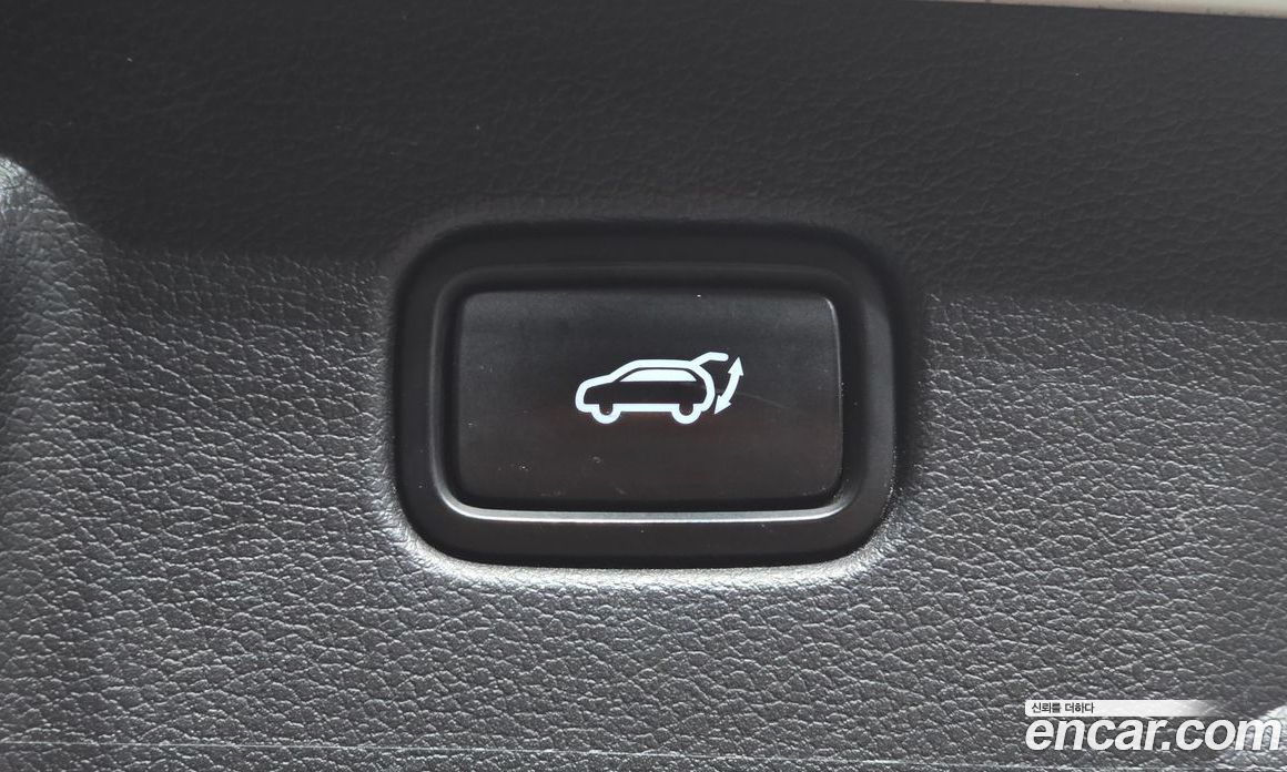 Hyundai Palisade 1st Gen фото 19