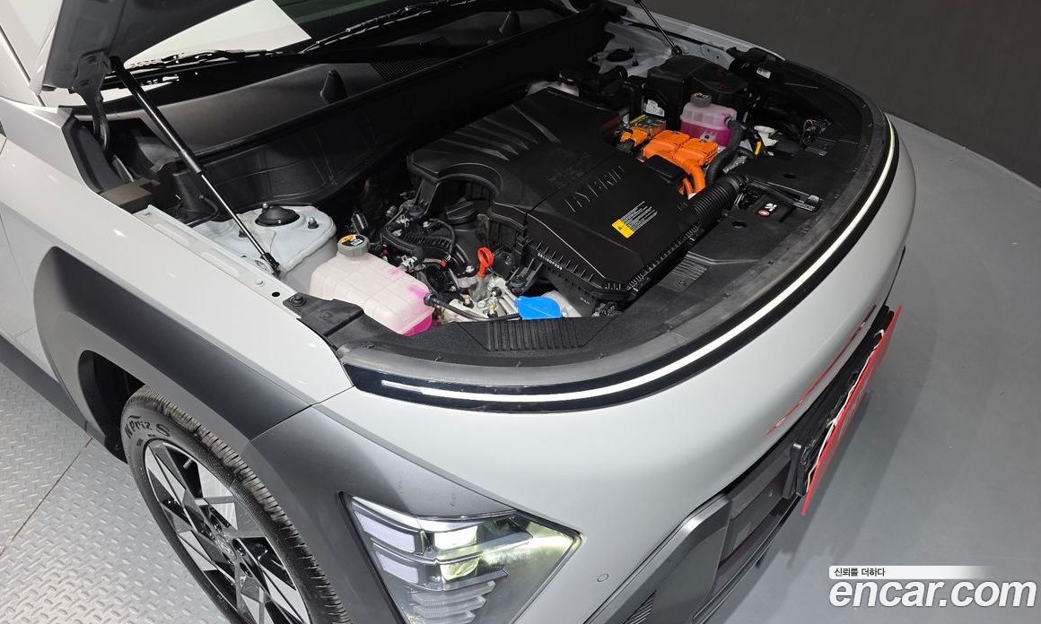 Hyundai Kona Hybrid (SX2) фото 6