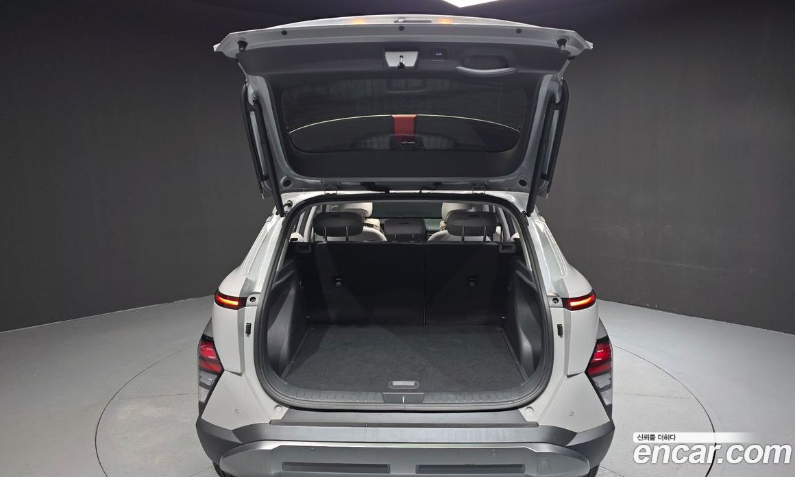 Hyundai Kona Hybrid (SX2) фото 20
