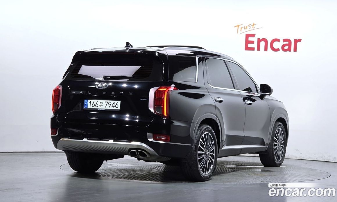 Hyundai Palisade 1st Gen фото 2