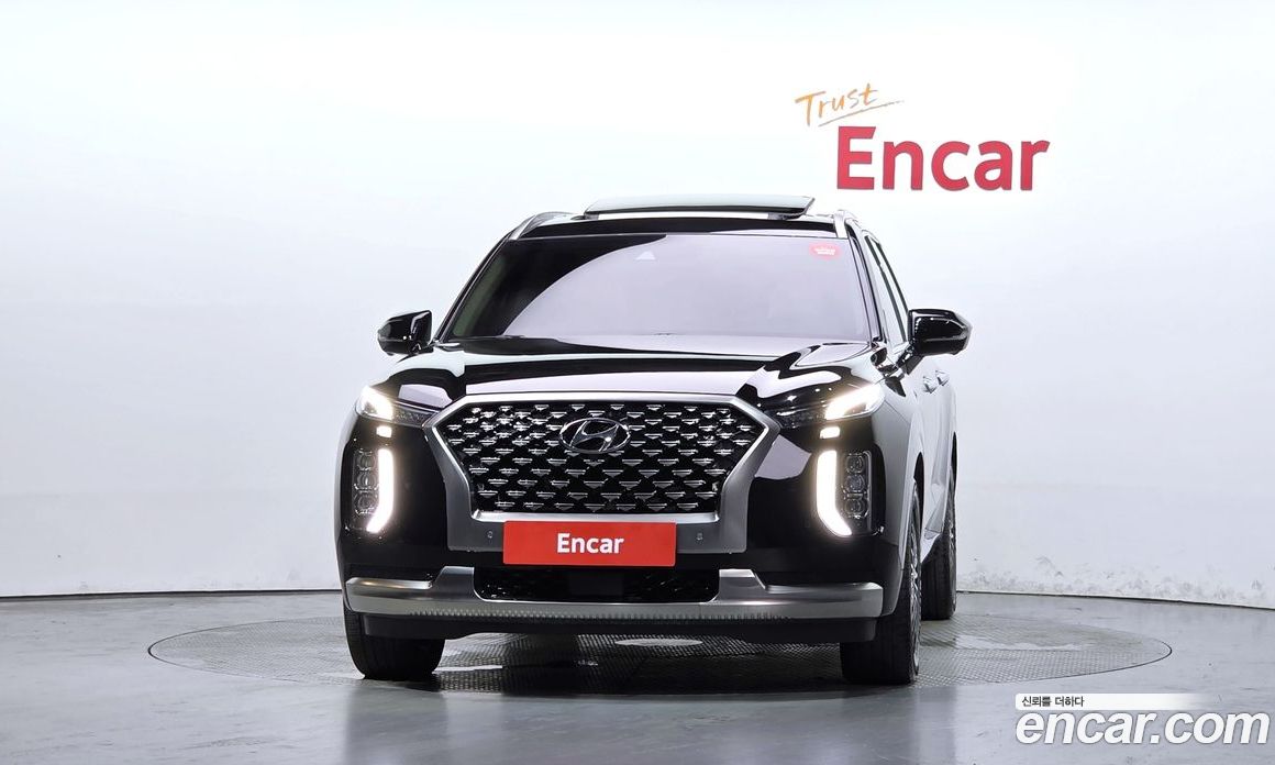 Hyundai Palisade 1st Gen фото 3
