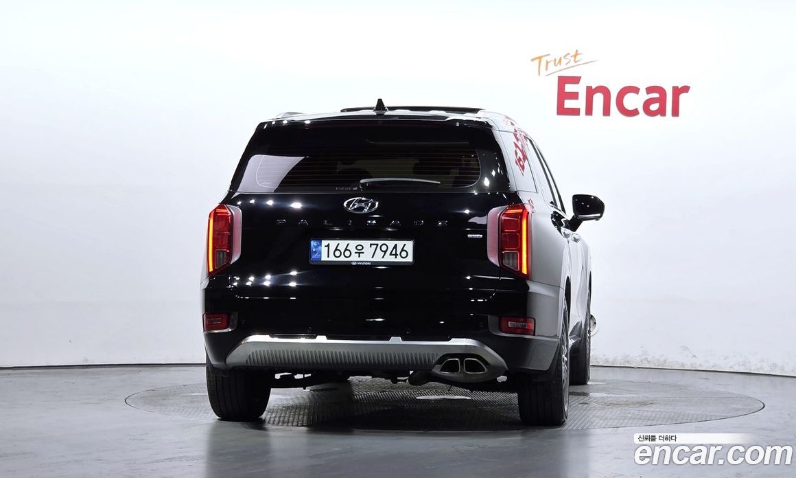Hyundai Palisade 1st Gen фото 4