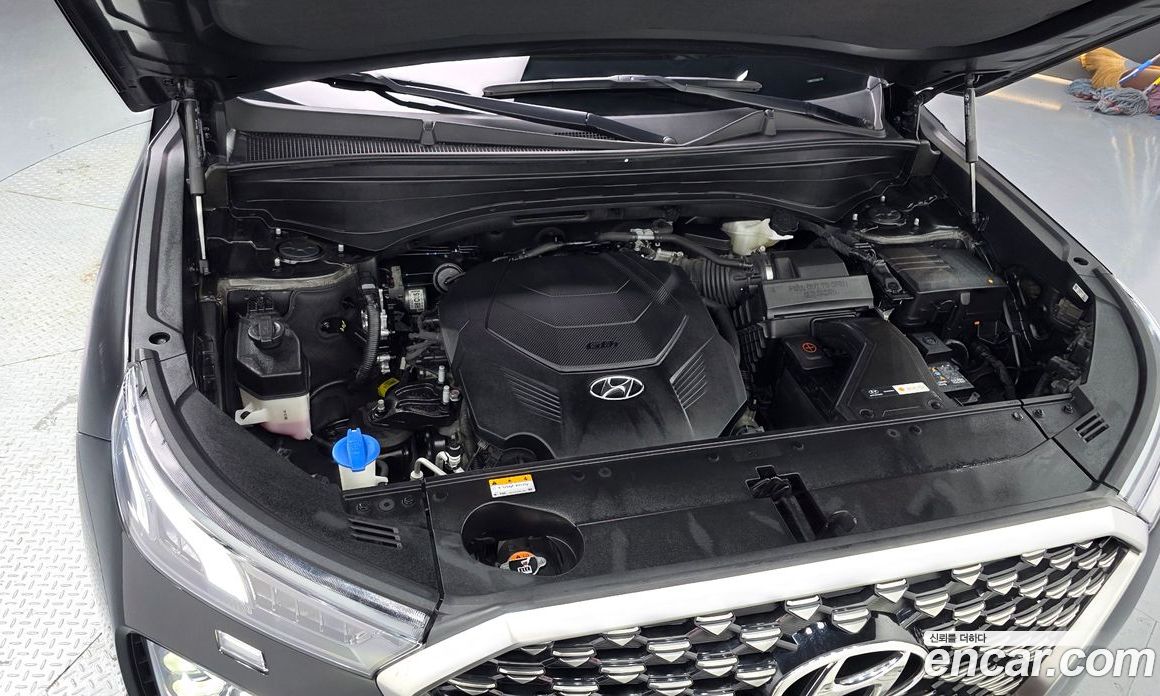 Hyundai Palisade 1st Gen фото 6