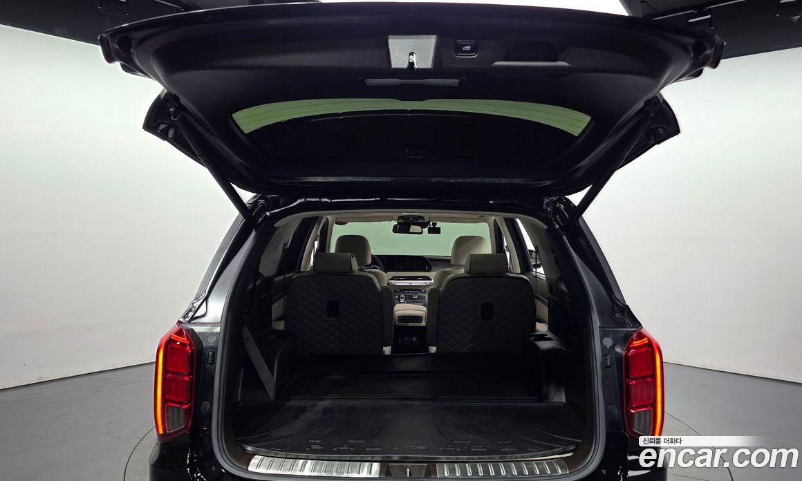 Hyundai Palisade 1st Gen фото 19