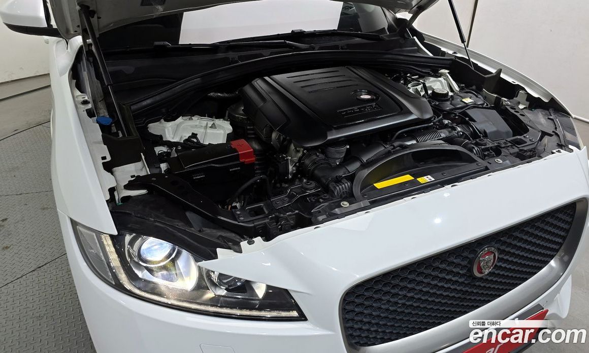 Jaguar F-PACE фото 6