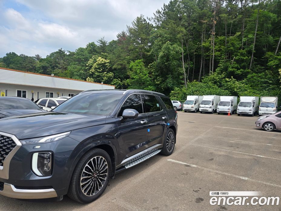 Hyundai Palisade 1st Gen фото 2