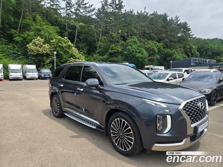 Hyundai Palisade 1st Gen фото 3