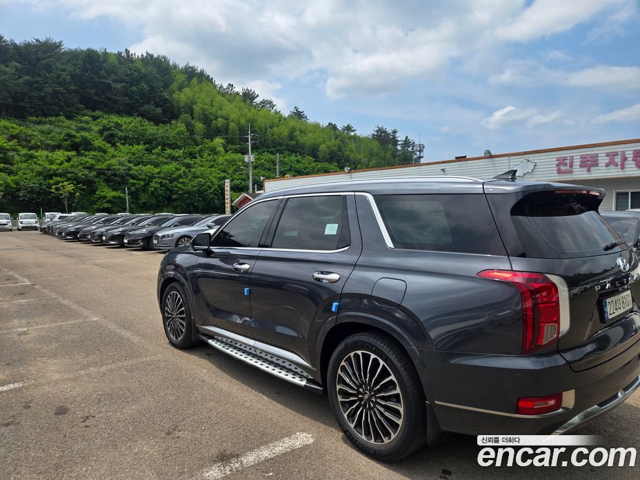 Hyundai Palisade 1st Gen фото 6