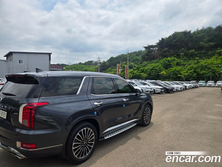 Hyundai Palisade 1st Gen фото 7
