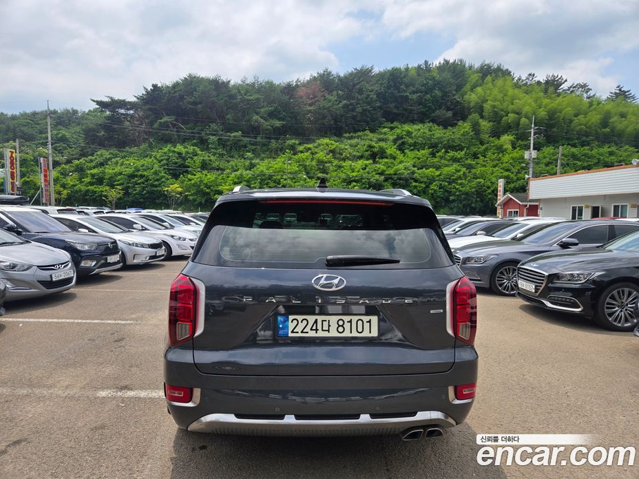 Hyundai Palisade 1st Gen фото 8