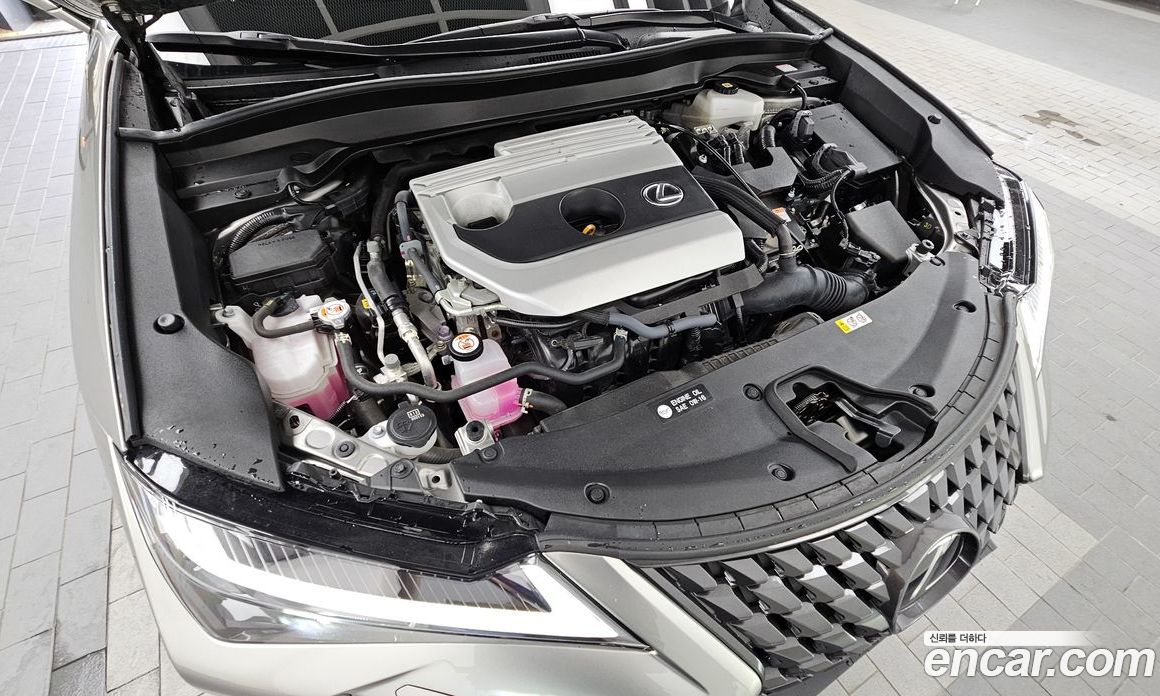 Lexus UX250h фото 6