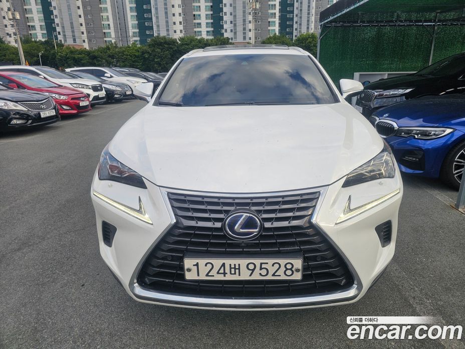 Lexus NX300h з Кореї