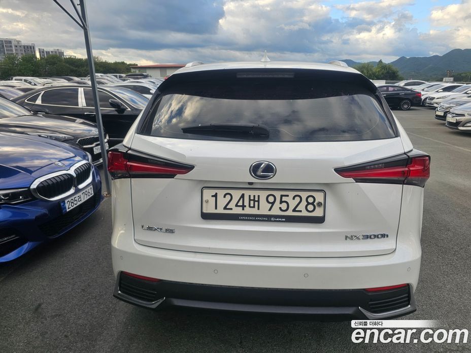 Lexus NX300h фото 2