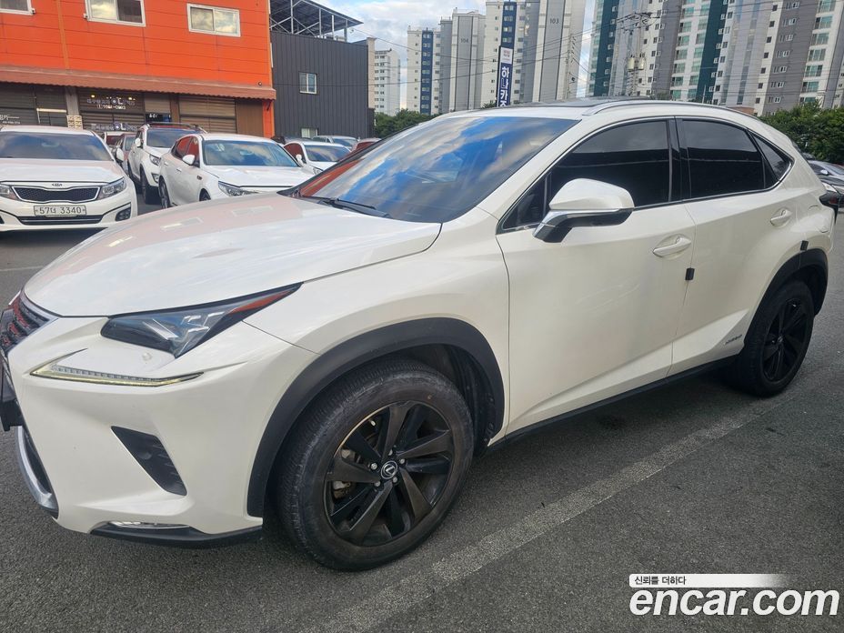 Lexus NX300h фото 3