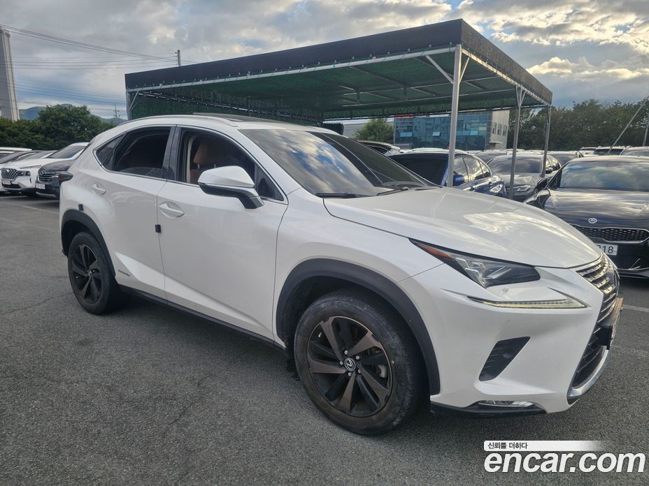 Lexus NX300h фото 4