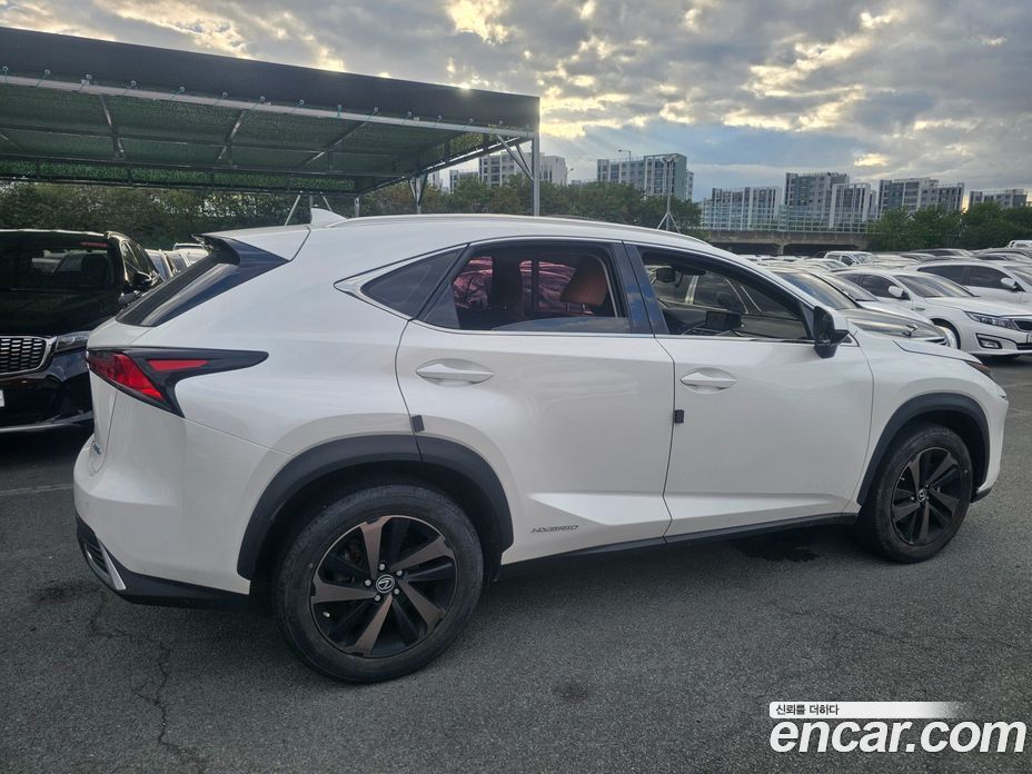 Lexus NX300h фото 5