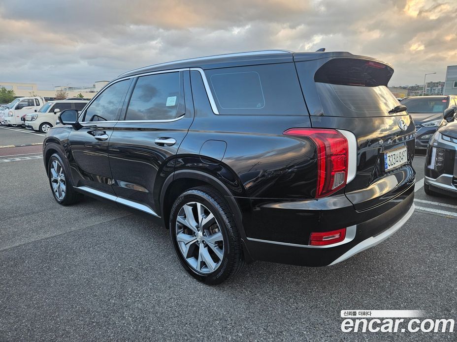 Hyundai Palisade 1st Gen фото 2