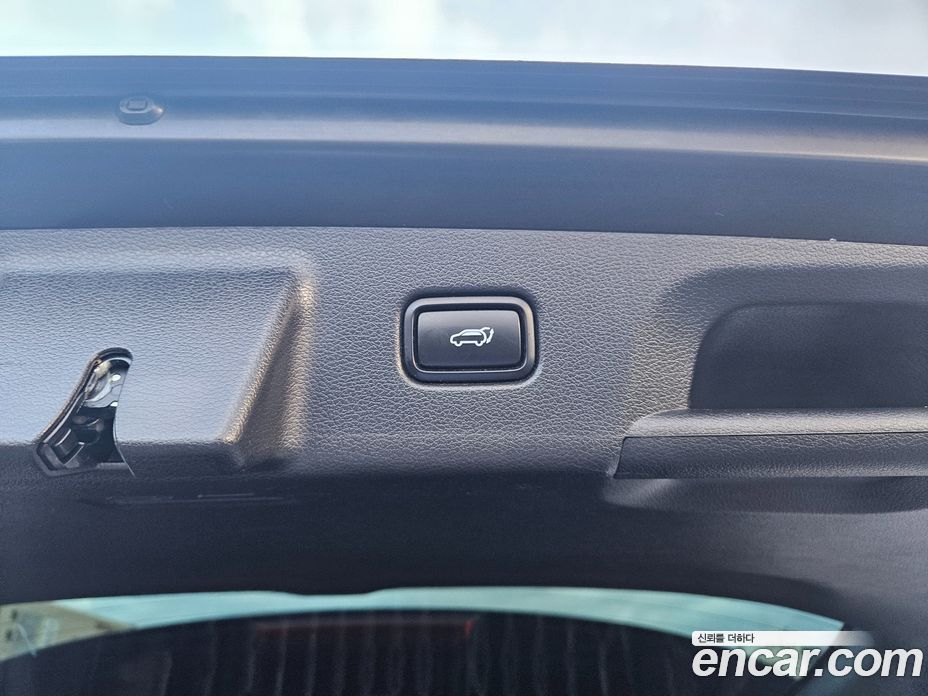Hyundai Palisade 1st Gen фото 19