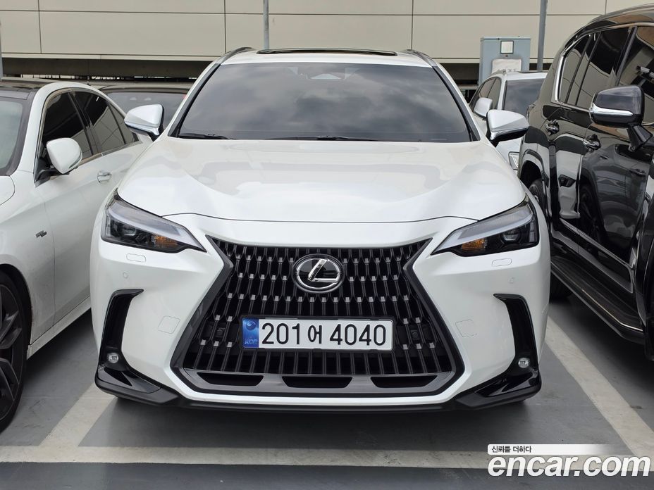 Lexus NX350h 2nd Gen