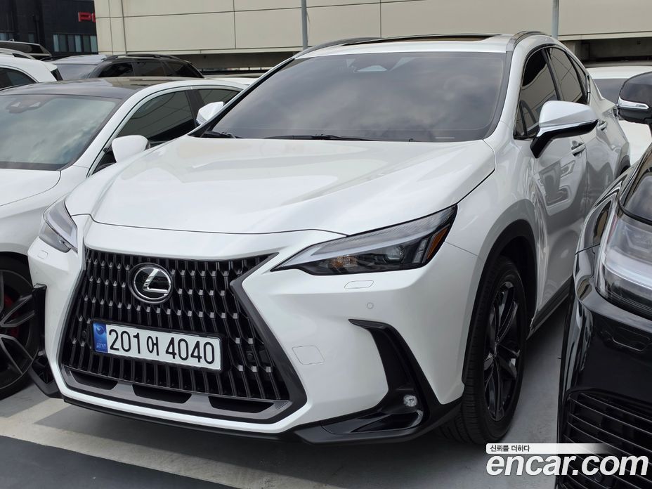 Lexus NX350h 2nd Gen фото 2