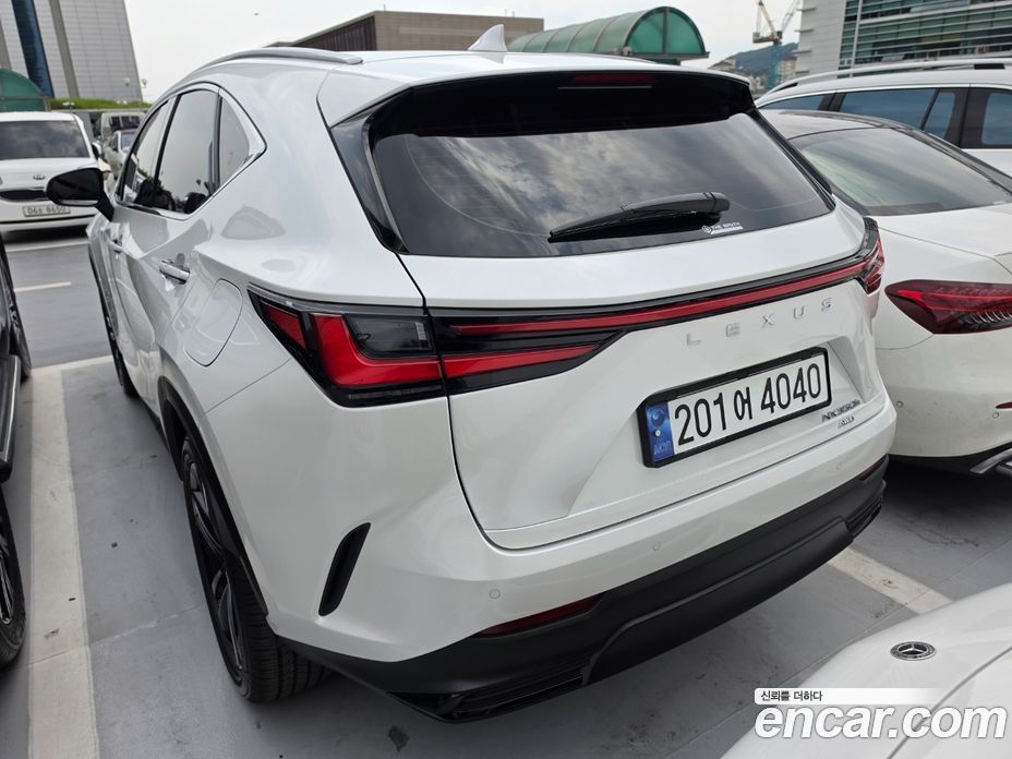 Lexus NX350h 2nd Gen фото 4