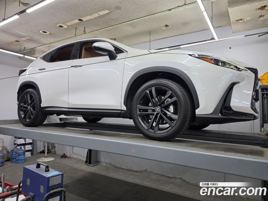 Lexus NX350h 2nd Gen фото 15