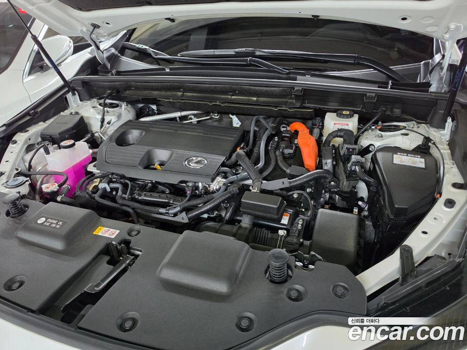 Lexus NX350h 2nd Gen фото 20