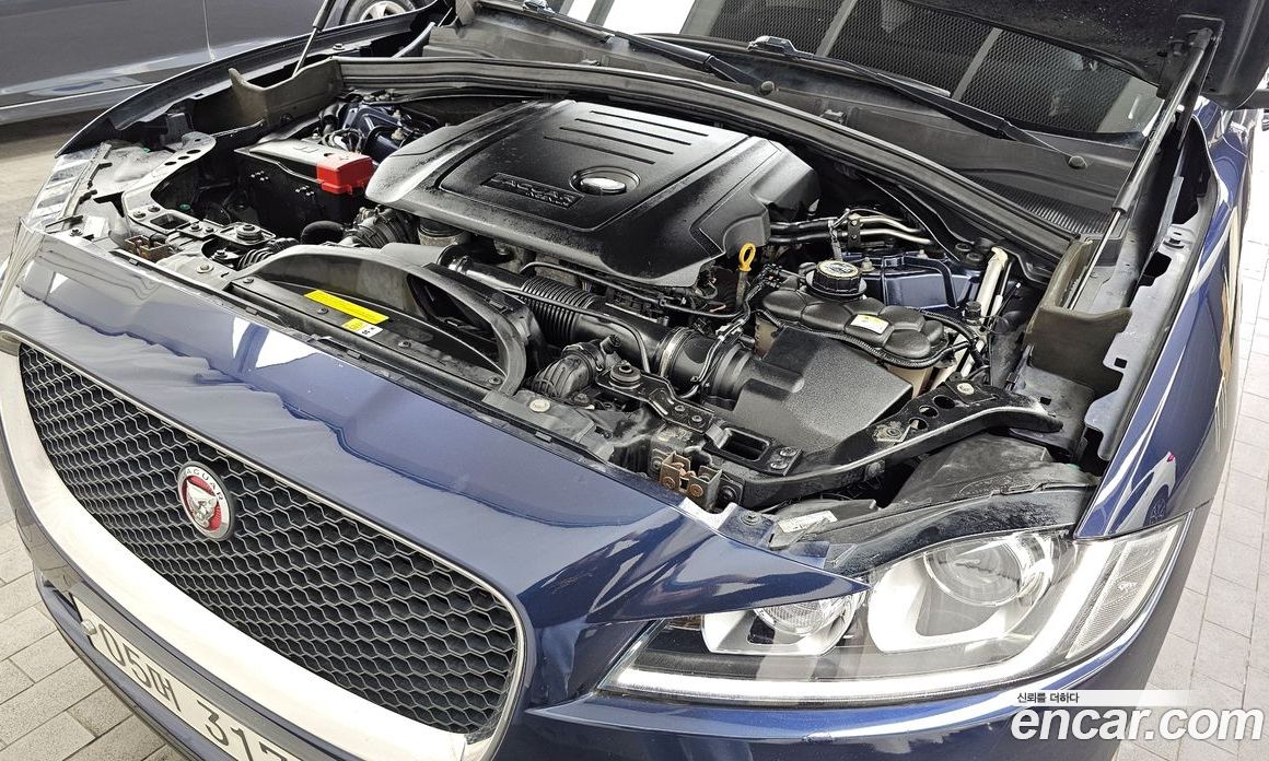 Jaguar F-PACE фото 6