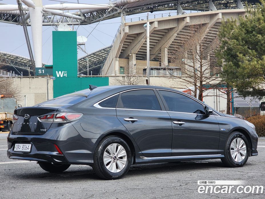 Hyundai Sonata Hybrid (LF) Restyling фото 8