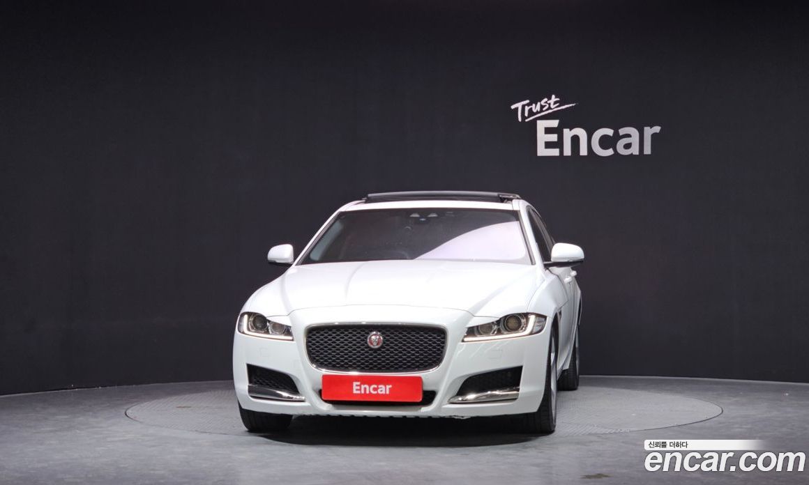 Jaguar XF (X260) фото 3
