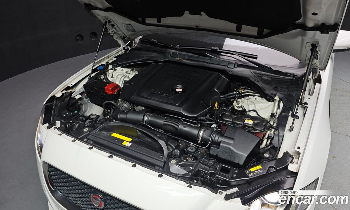 Jaguar XF (X260) фото 6