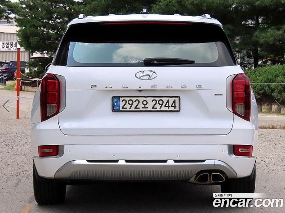 Hyundai Palisade 1st Gen фото 4