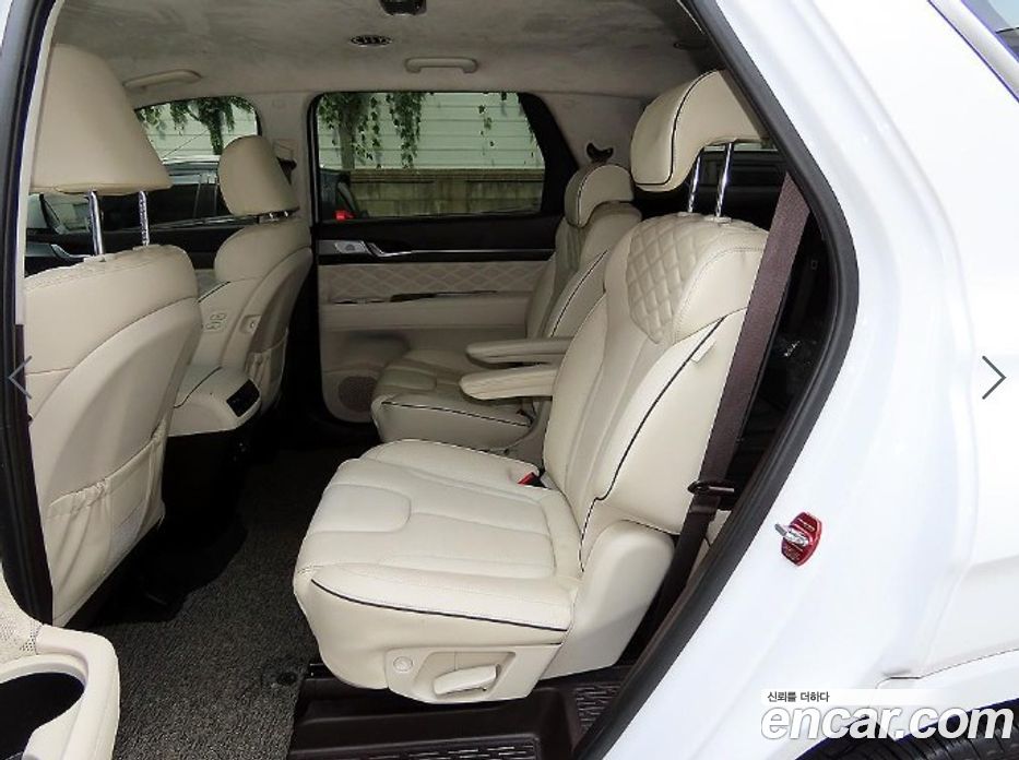 Hyundai Palisade 1st Gen фото 6