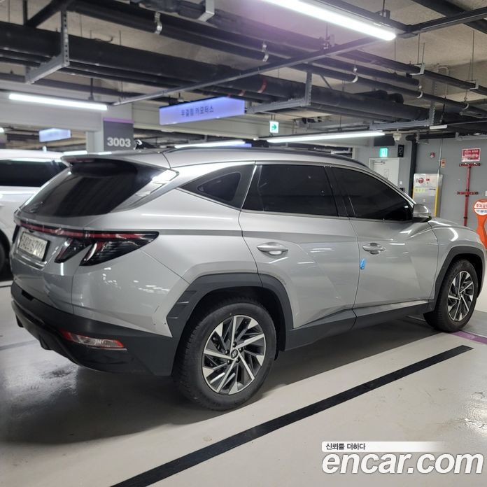 Hyundai Tucson Hybrid (NX4) 4th Gen фото 4