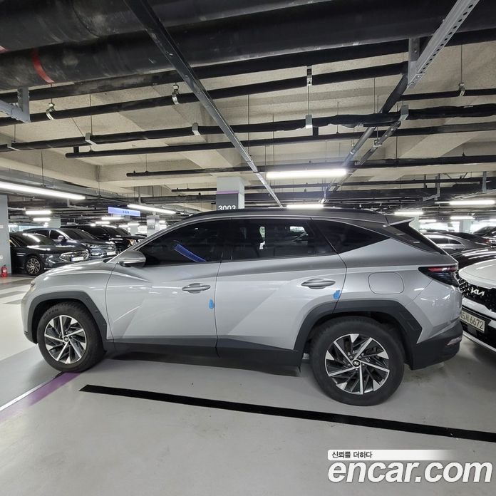 Hyundai Tucson Hybrid (NX4) 4th Gen фото 5