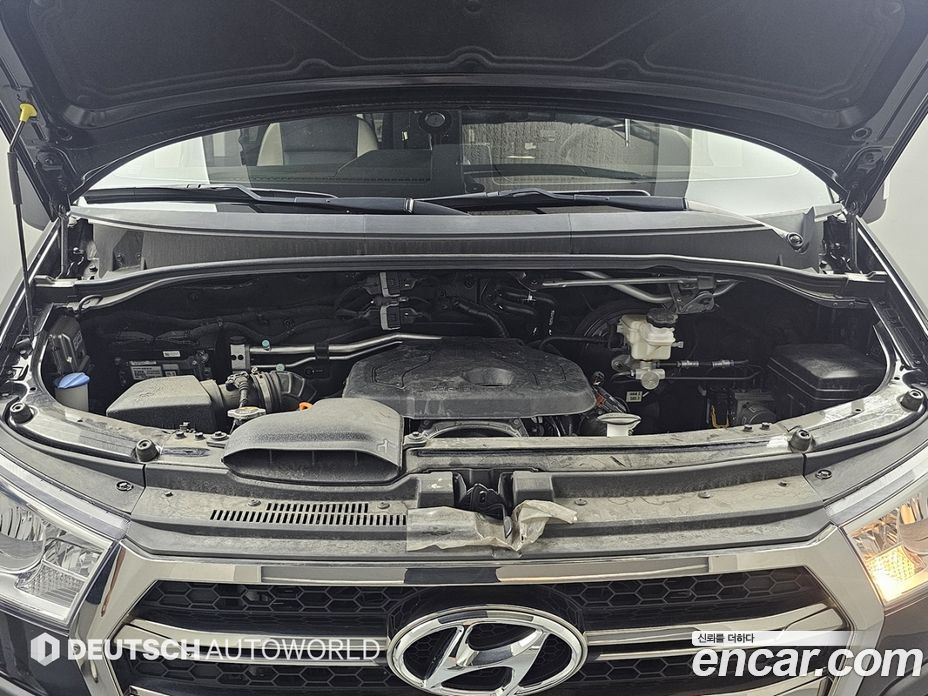 Hyundai Solati фото 6