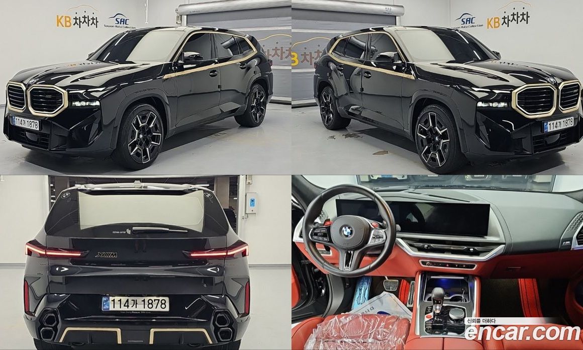 BMW XM (G09)