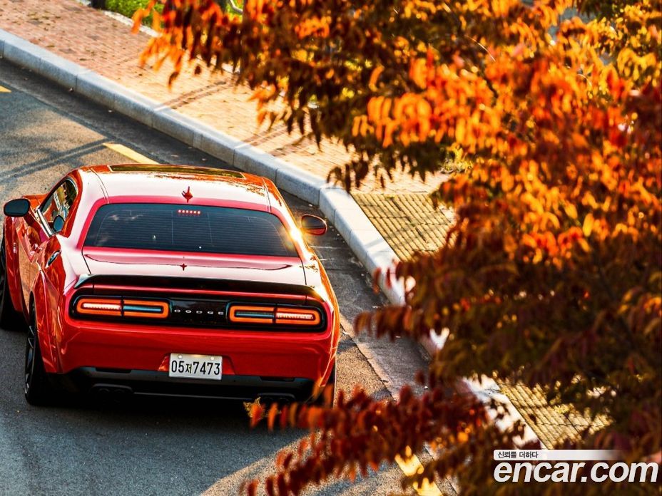 Dodge Challenger фото 4