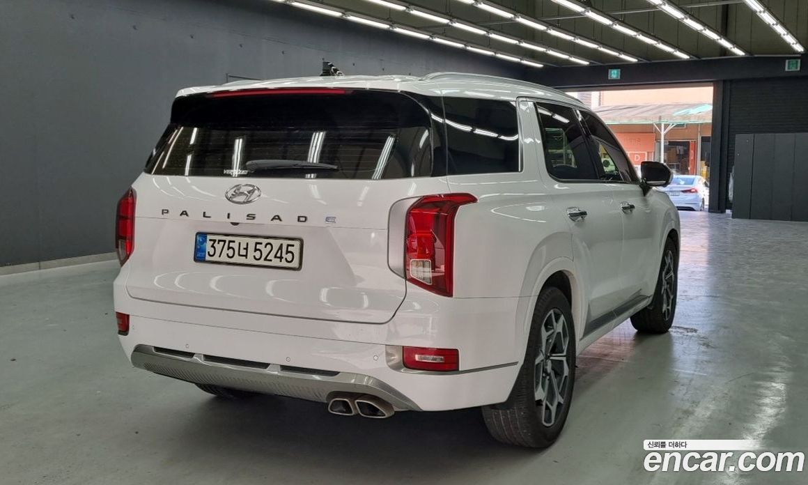 Hyundai Palisade 1st Gen фото 2