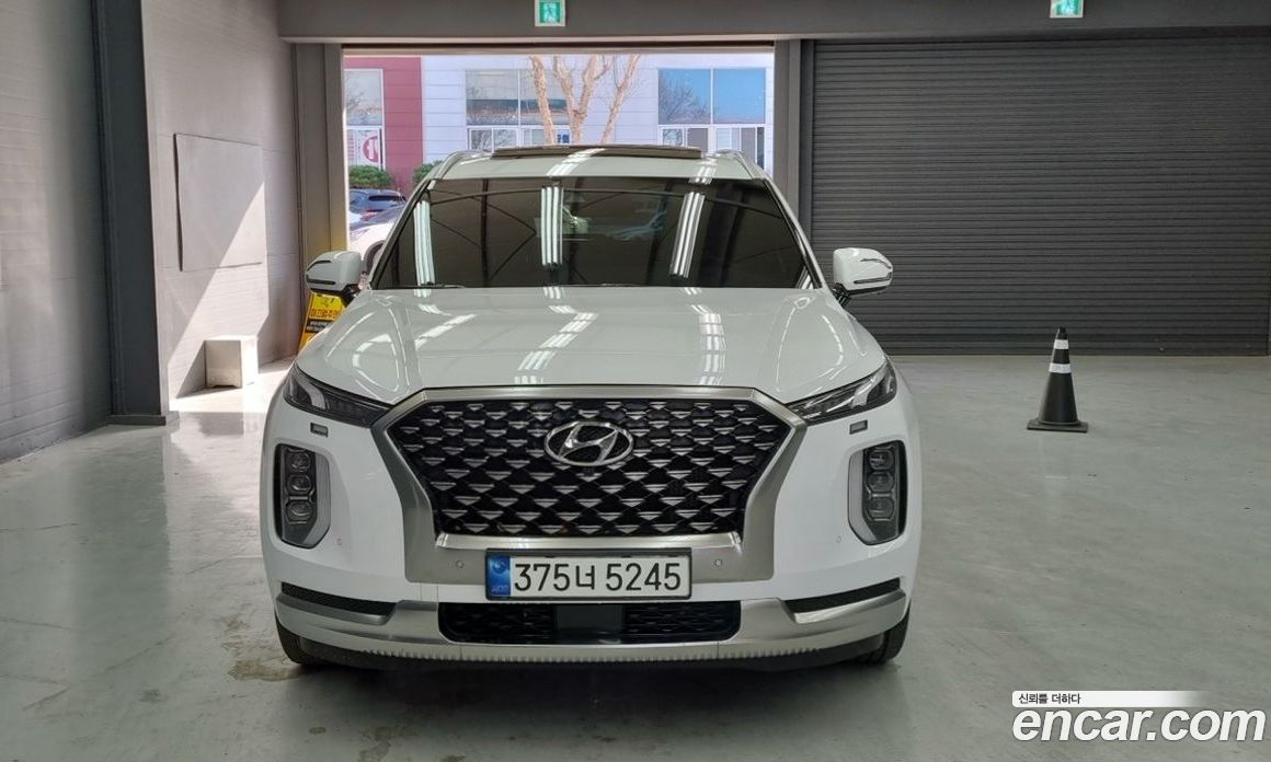Hyundai Palisade 1st Gen фото 3