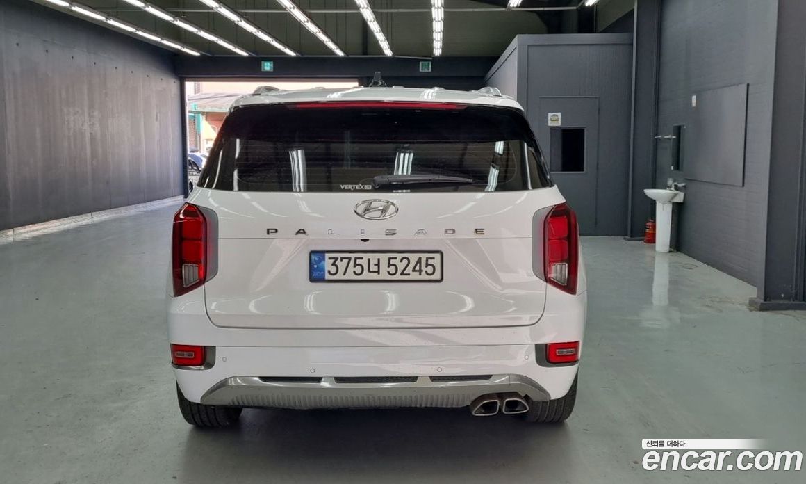 Hyundai Palisade 1st Gen фото 4