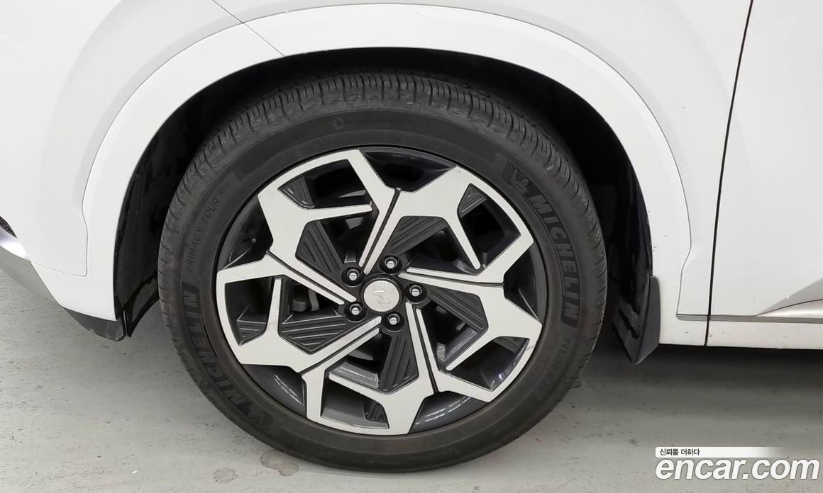 Hyundai Palisade 1st Gen фото 5