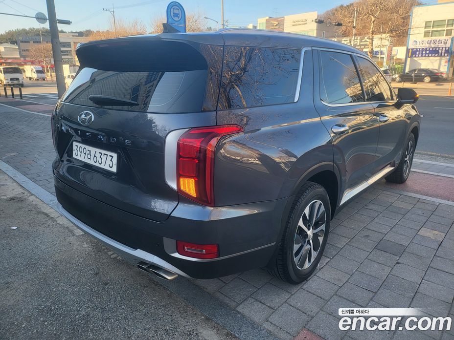 Hyundai Palisade 1st Gen фото 2