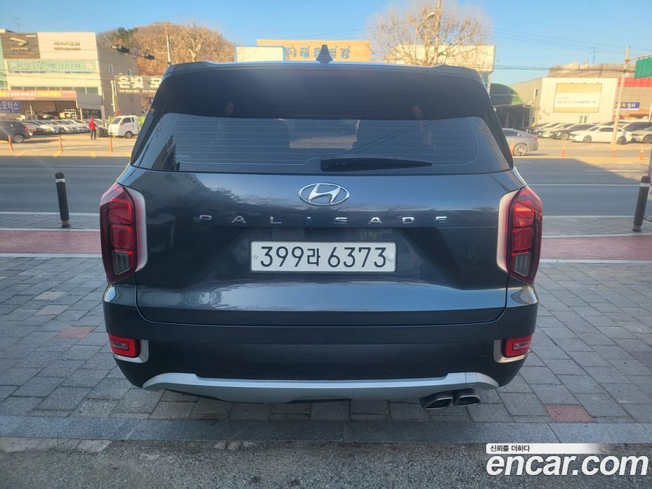 Hyundai Palisade 1st Gen фото 4