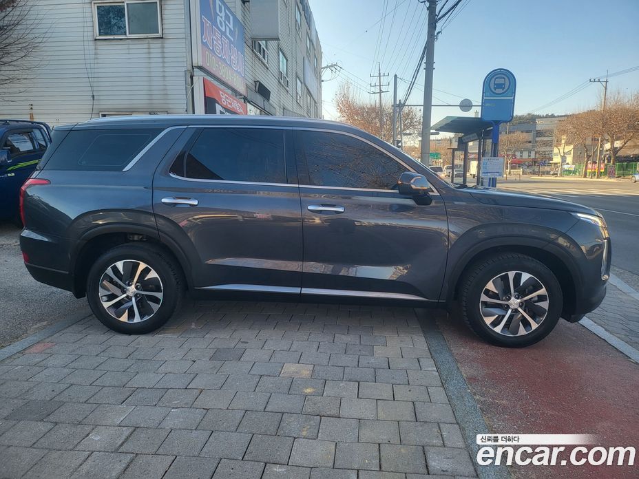 Hyundai Palisade 1st Gen фото 12