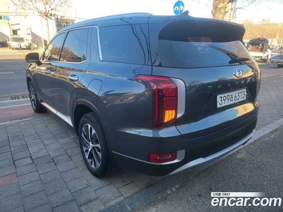 Hyundai Palisade 1st Gen фото 13