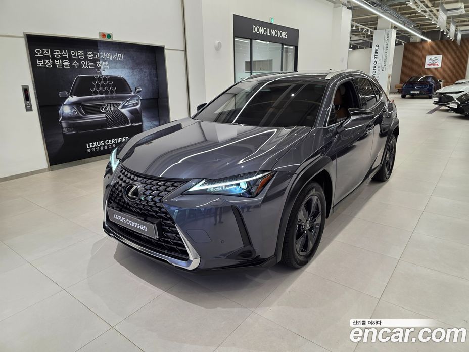 Lexus UX300h